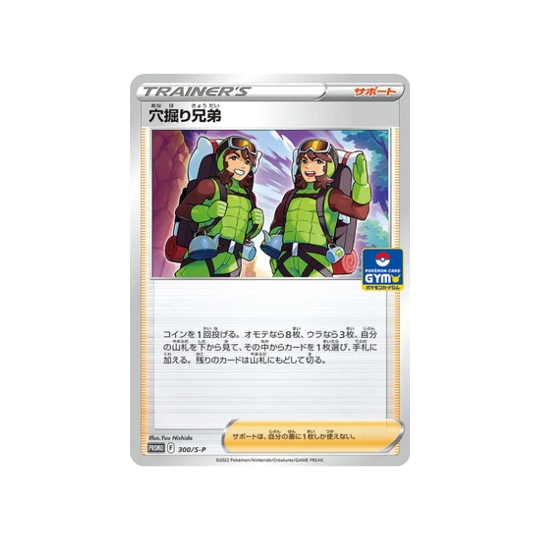 Carte Pokémon Carte Promo Épée et Bouclier S-P 300/S-P : Trou Brothers