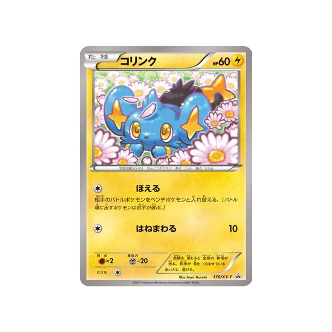 Carte Pokémon Carte Promo XY XY-P 178/XY-P : Lixy