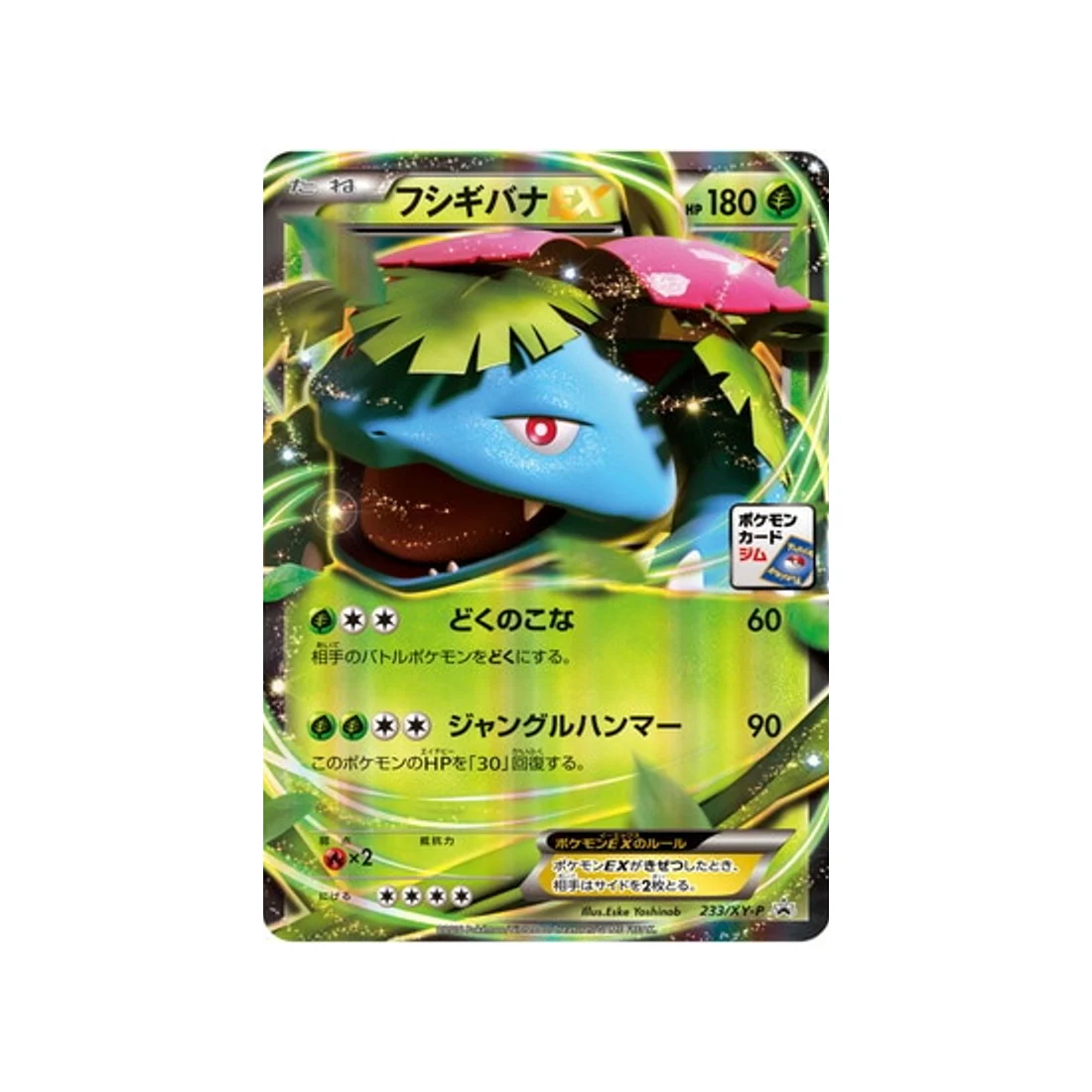 Carte Pokémon Carte Promo XY XY-P 233/XY-P : Florizarre EX
