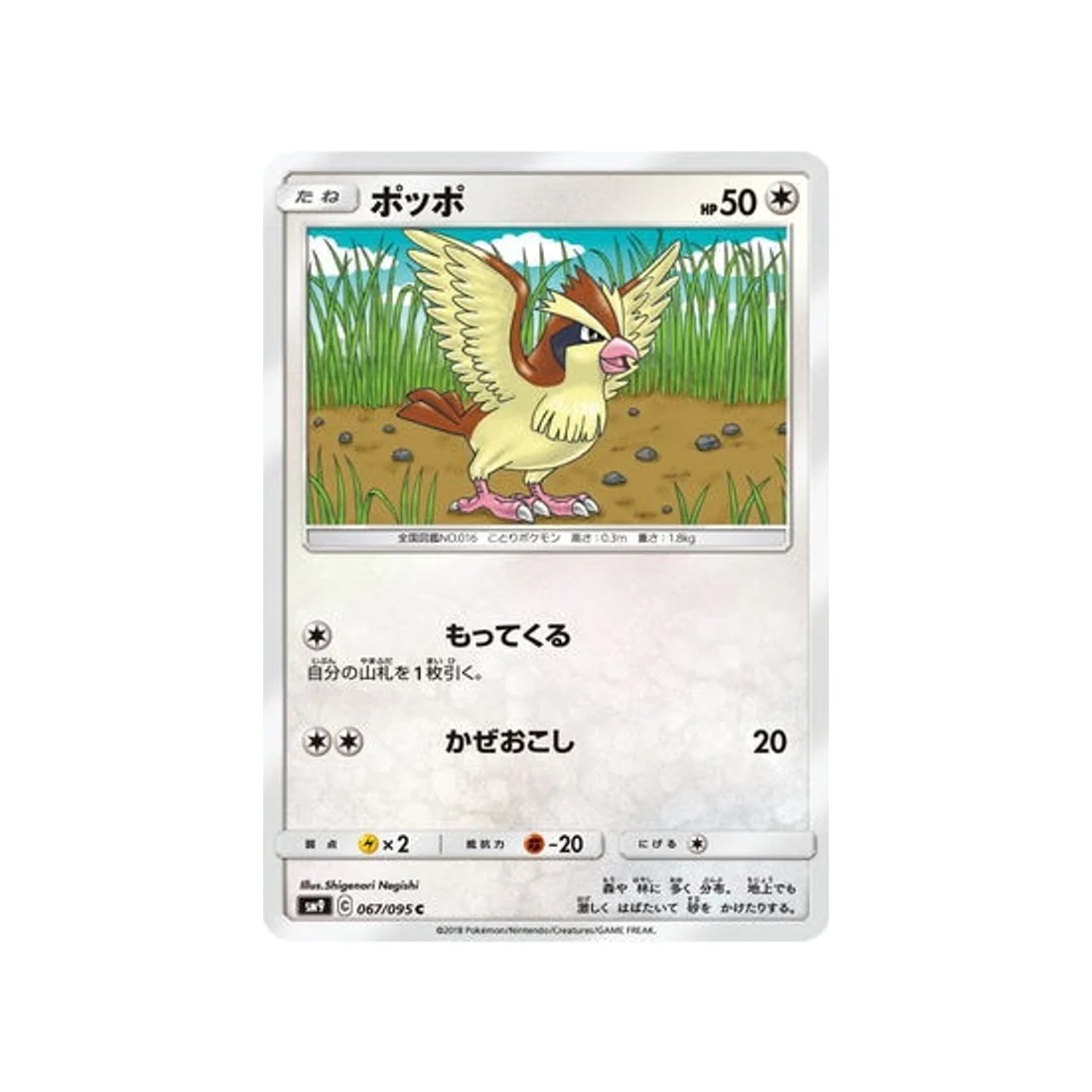 Carte Pokémon Due de Choc SM9 067/095 : Roucool