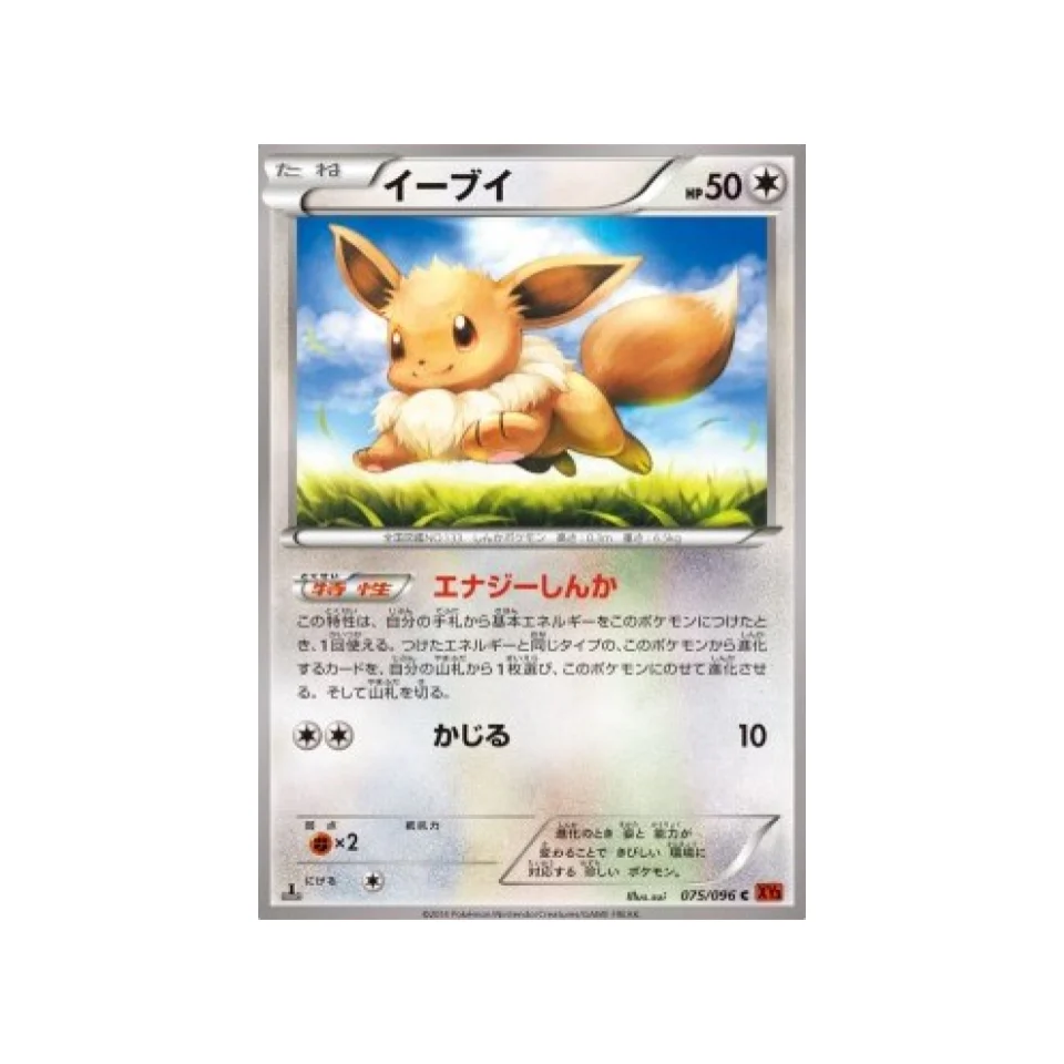 Carte Pokémon Poing Levant XY3 075/096 : Évoli