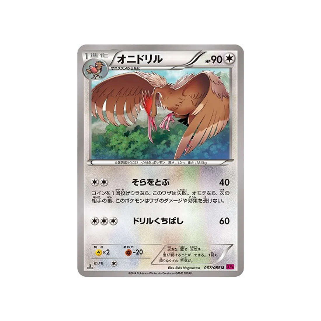 Carte Pokémon Portail Fantome XY4 067/088 : Rapasdepic