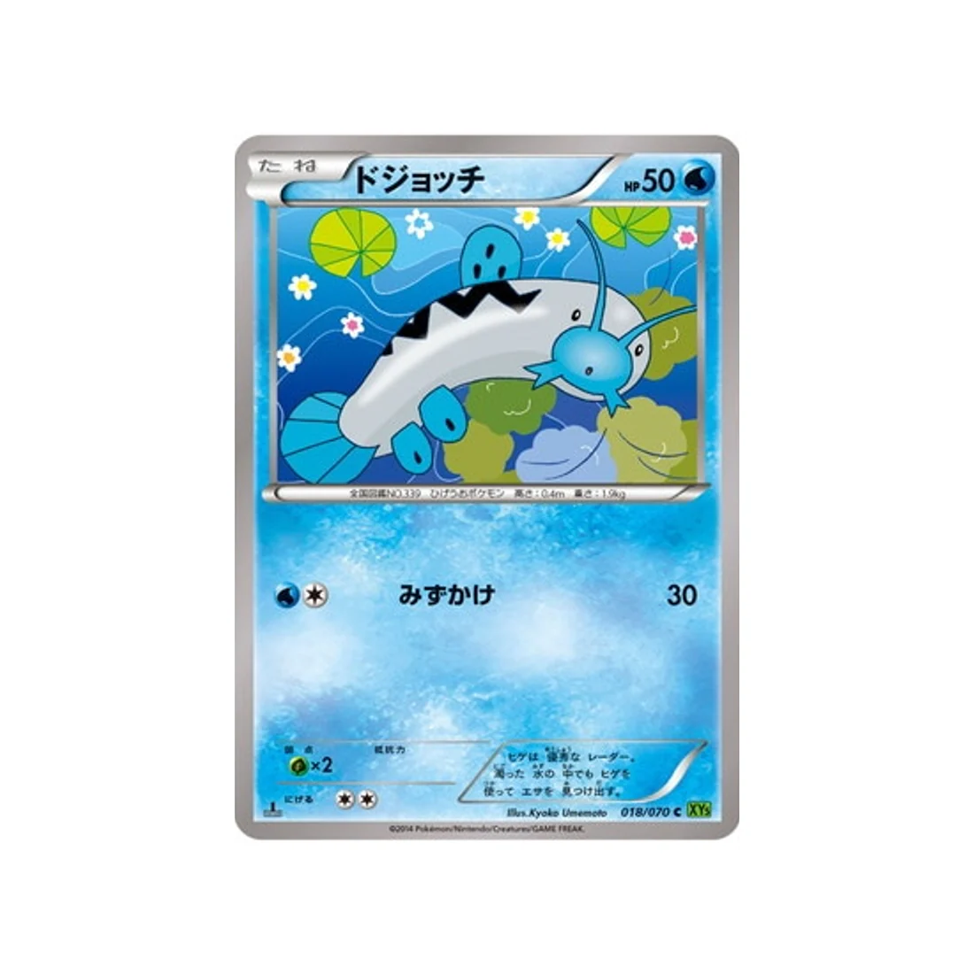 Carte Pokémon Tempete de Marée XY5T 018/070 : Barloche