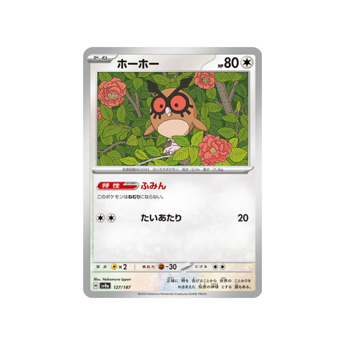 Carte Pokémon Terastal Festival SV8A 127/187 : Hoothoot