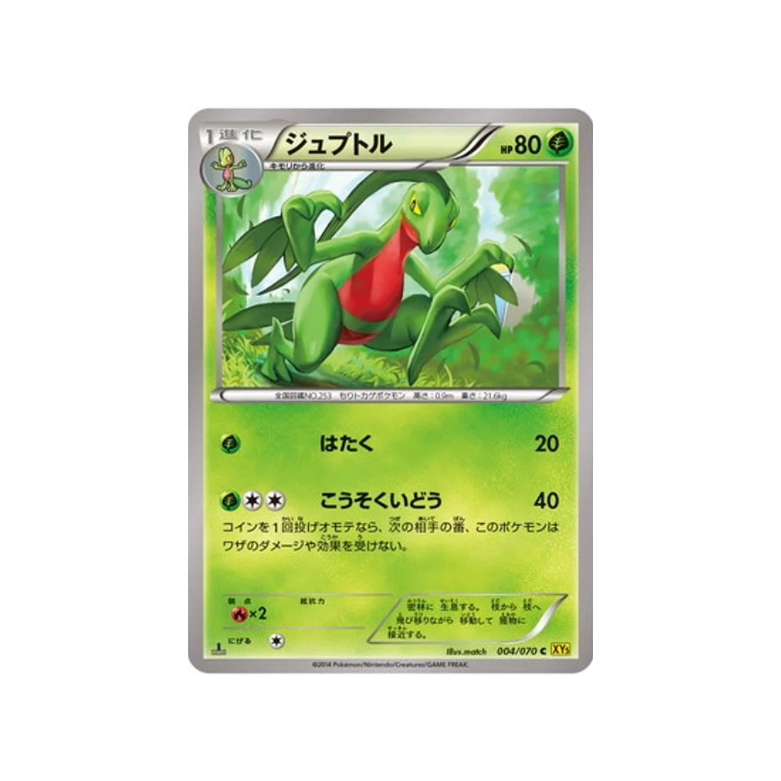 Carte Pokémon Volcan Gaia XY5G 004/070 : Massko
