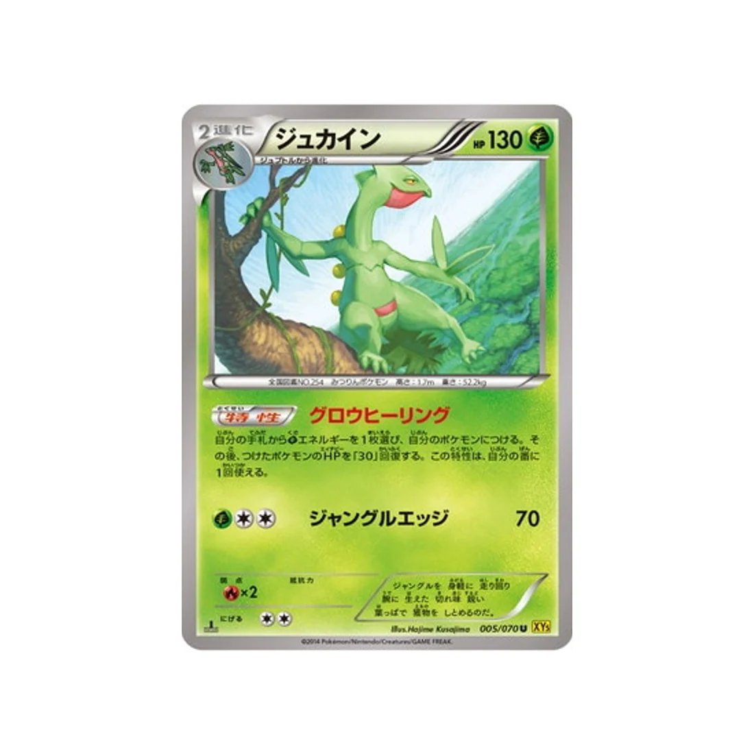 Carte Pokémon Volcan Gaia XY5G 005/070 : Jungko