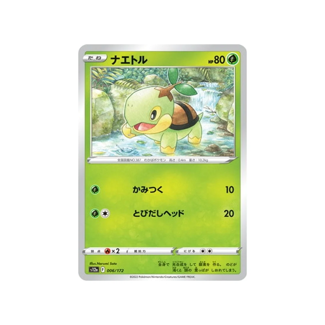 Carte Pokémon VSTAR Universe S12A 006/172 : Tortipouss