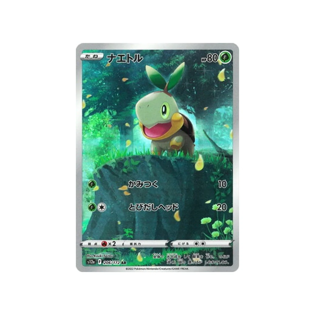 Carte Pokémon VSTAR Universe S12A 206/172 : Tortipouss