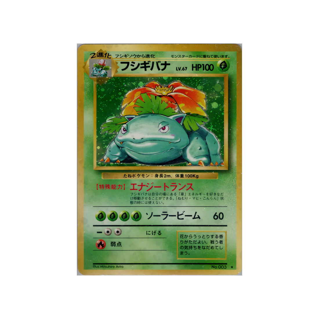 Carte Pokémon Wizard Set de Base : Florizarre 003